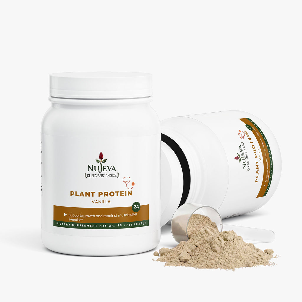 Plant Protein (Vanilla)