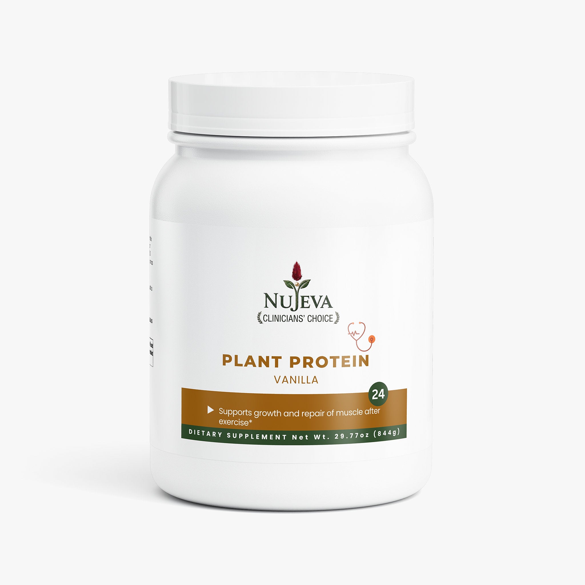 Plant Protein (Vanilla)