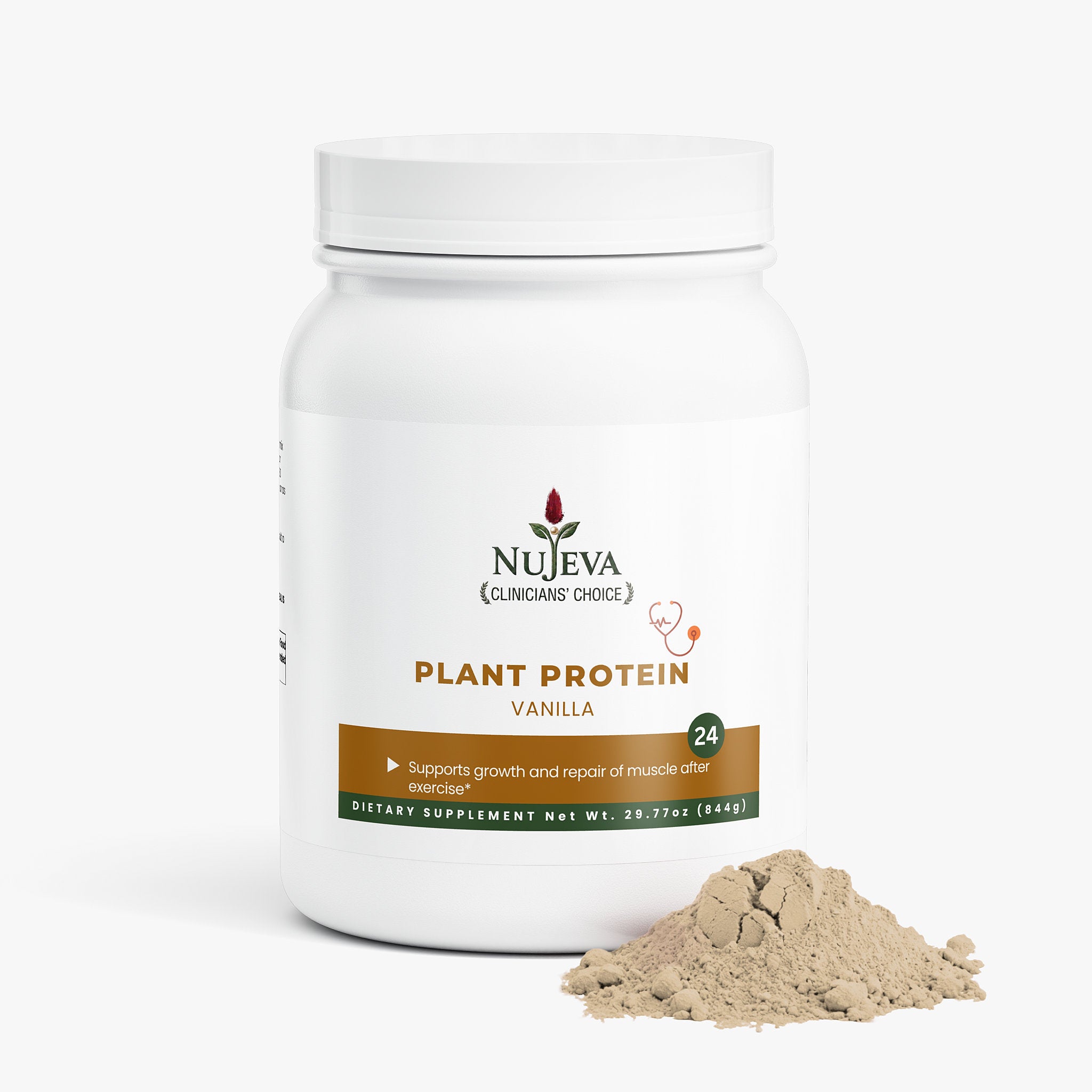 Plant Protein (Vanilla)