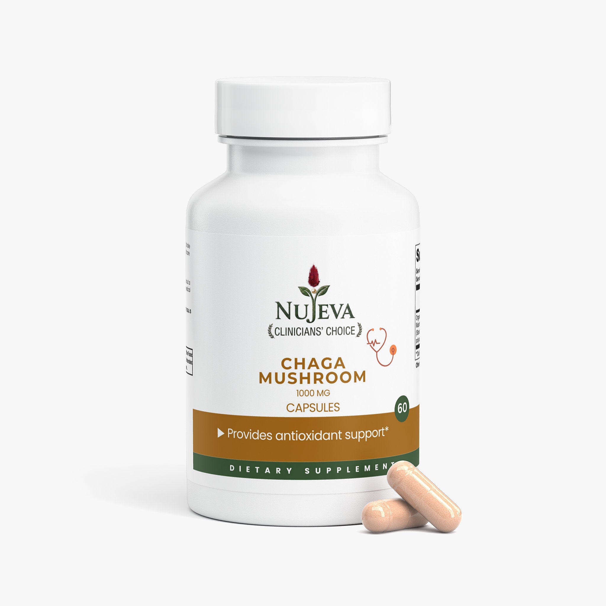 Chaga Mushroom