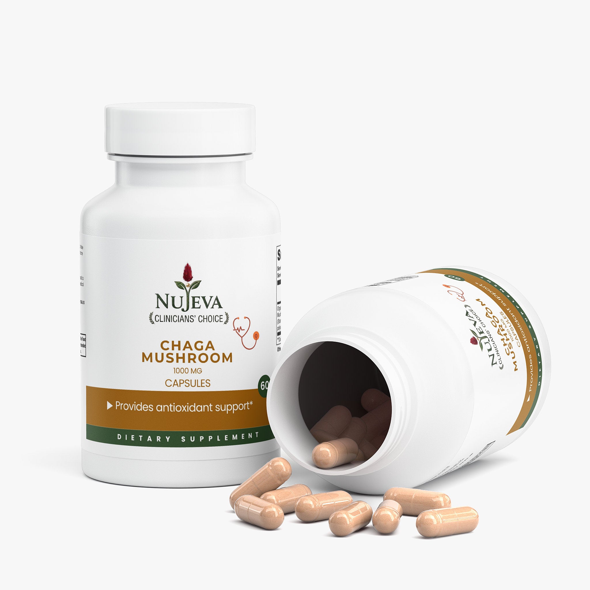 Chaga Mushroom